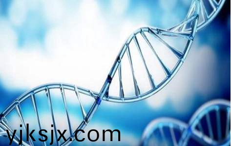 百(bai)傲2019再(zai)穫三(san)證，進入DNA免提時代